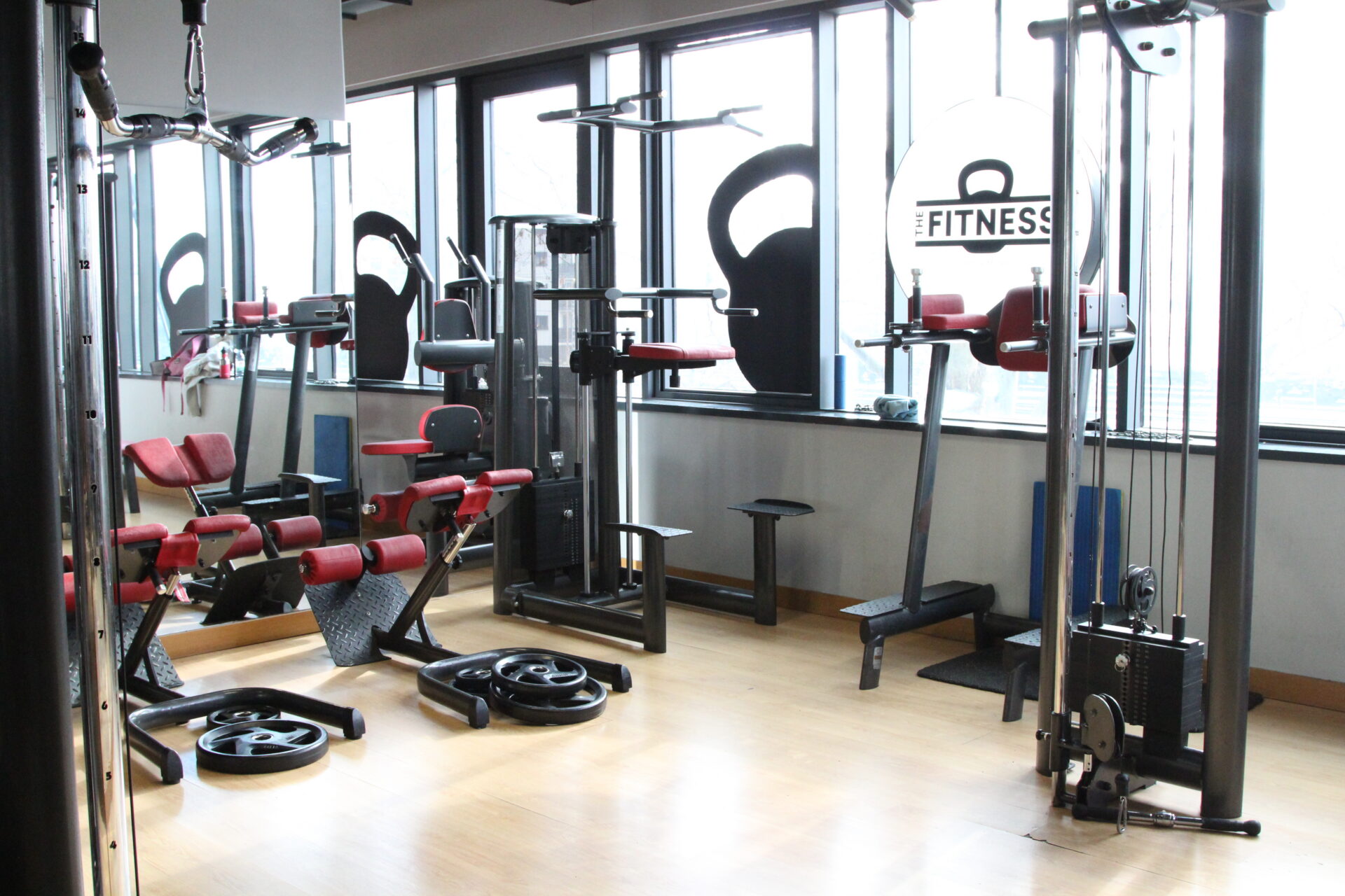 Kardio zona u THE Fitness Črnomerec